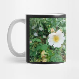 White flower Mug